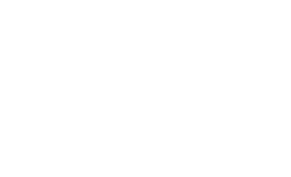 Logo Vilesta blanc
